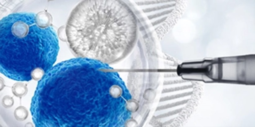 Kök Hücre Tedavisi Bilmeniz Gereken Her Şey Sade, Şeffaf ve Gerçekçi Rehber