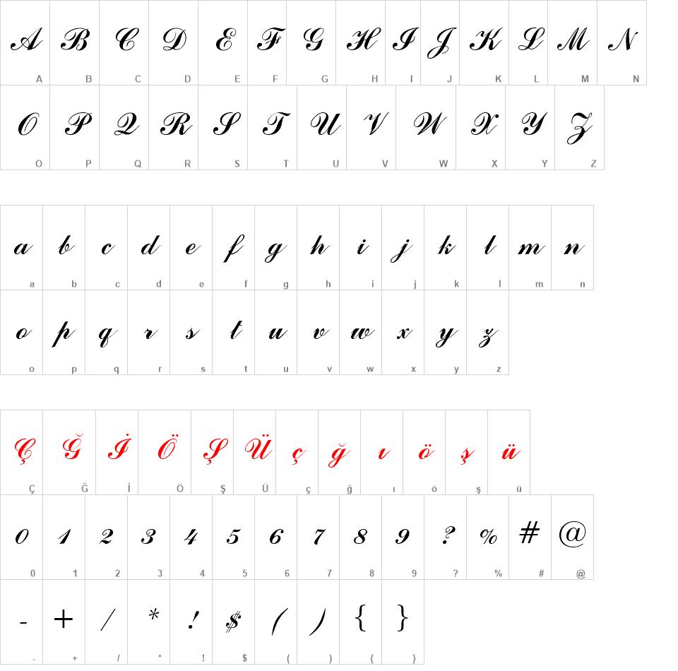 00843 font