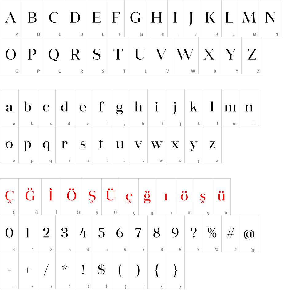 Anglecia Pro Display font