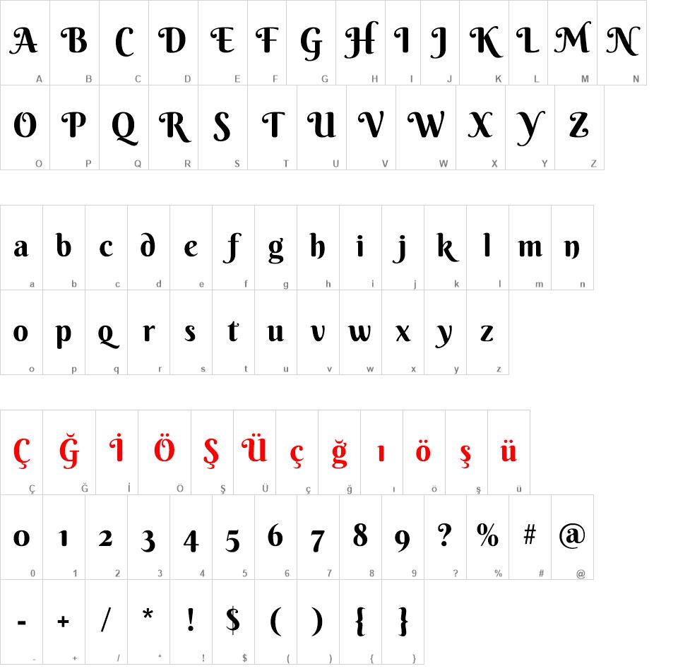 Berkshire Swash Font font