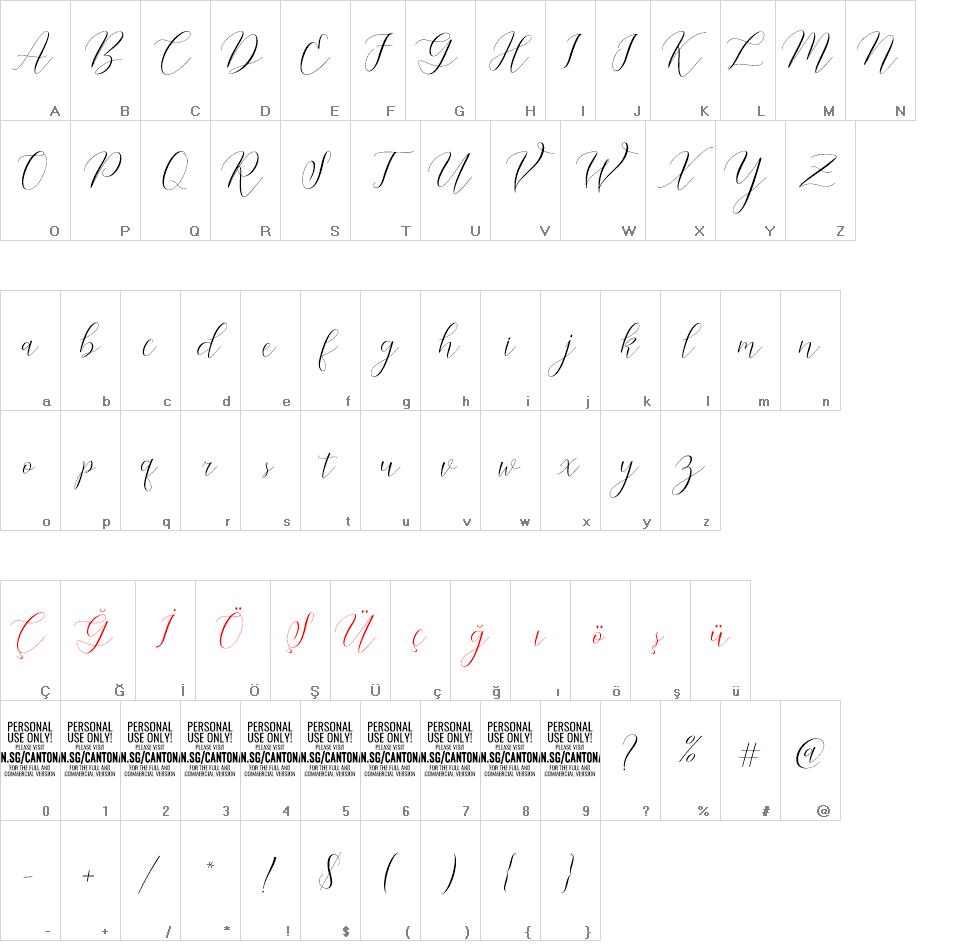 Cantona Script  font