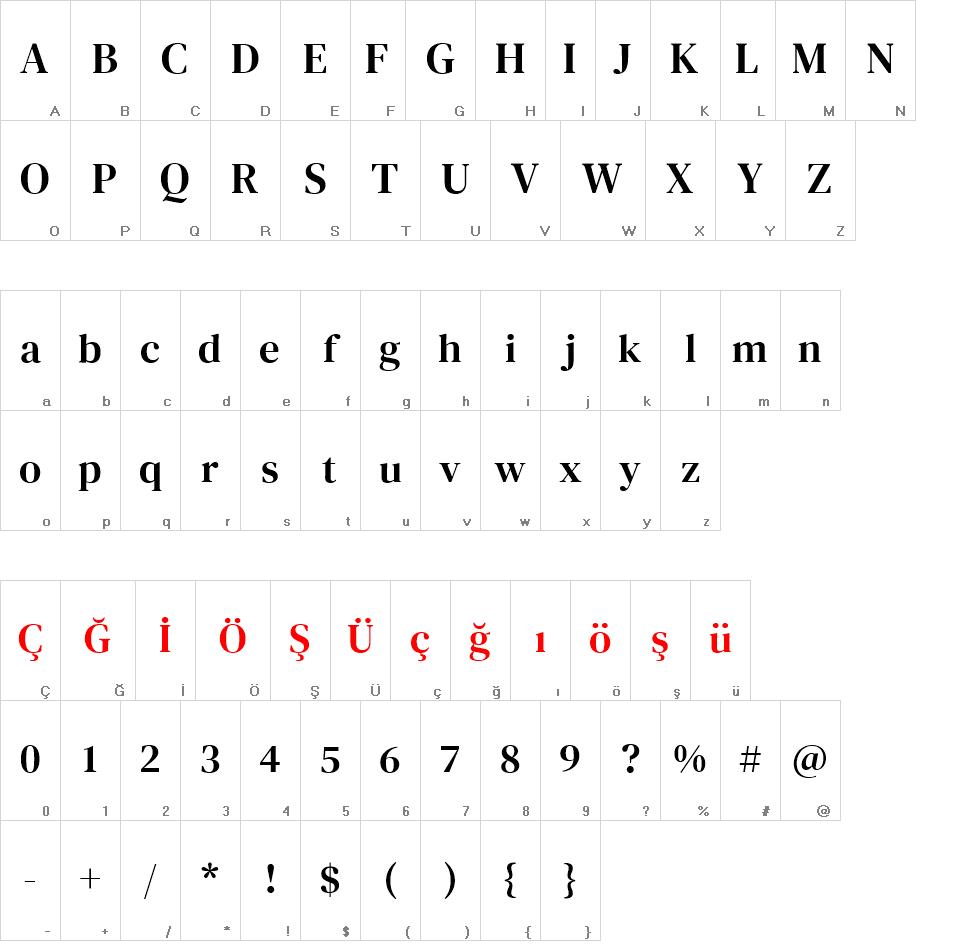 DM Serif Text font