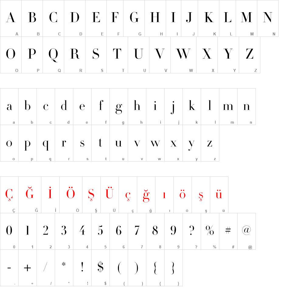 Didot font