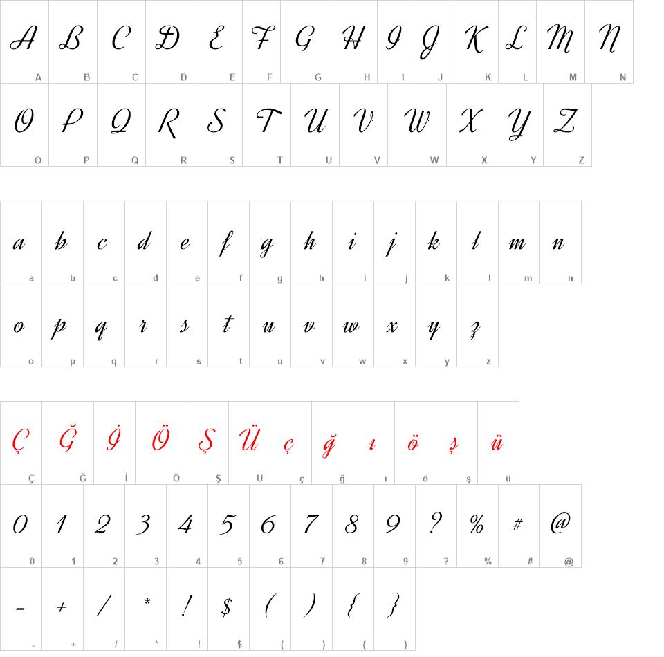 Dynalight font