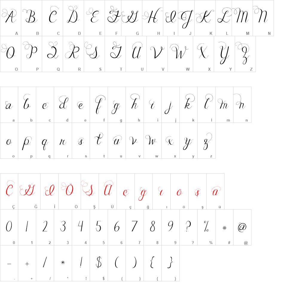 Janda Celebration Script  font