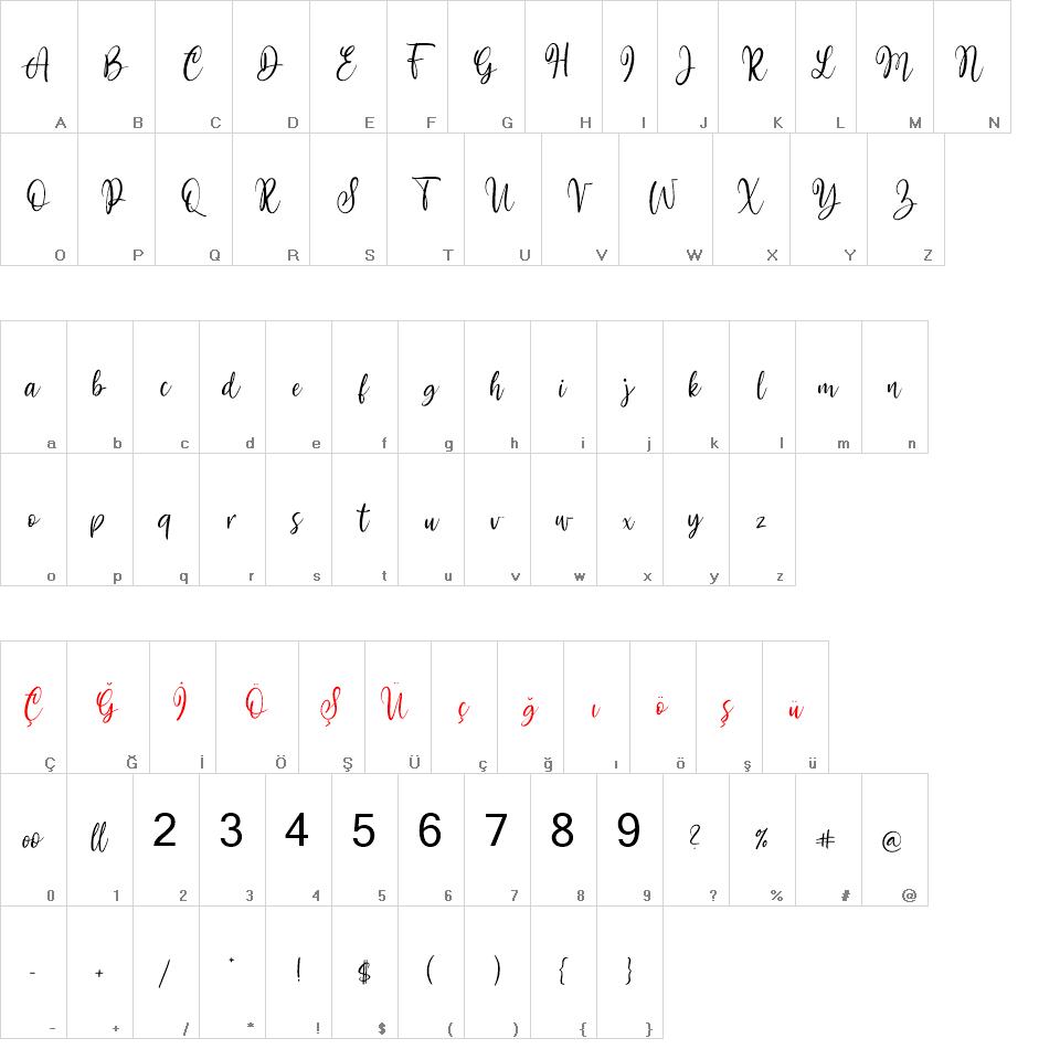 Mollywood  font