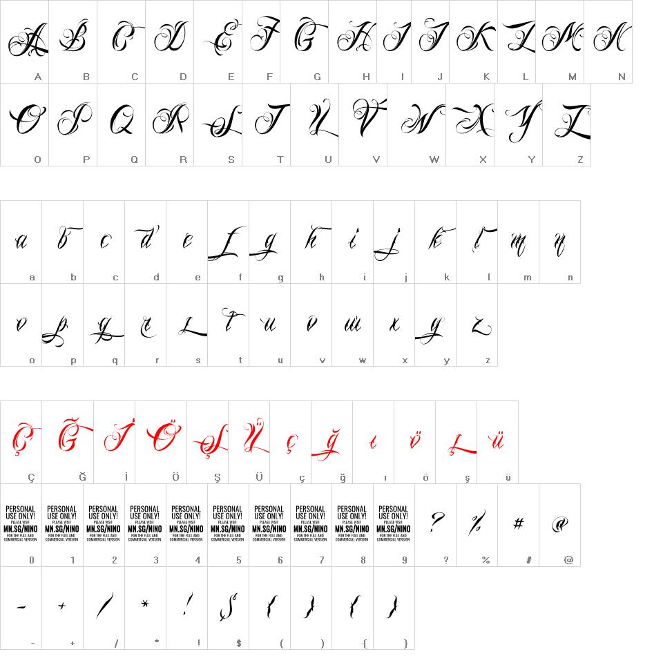Nino Script font