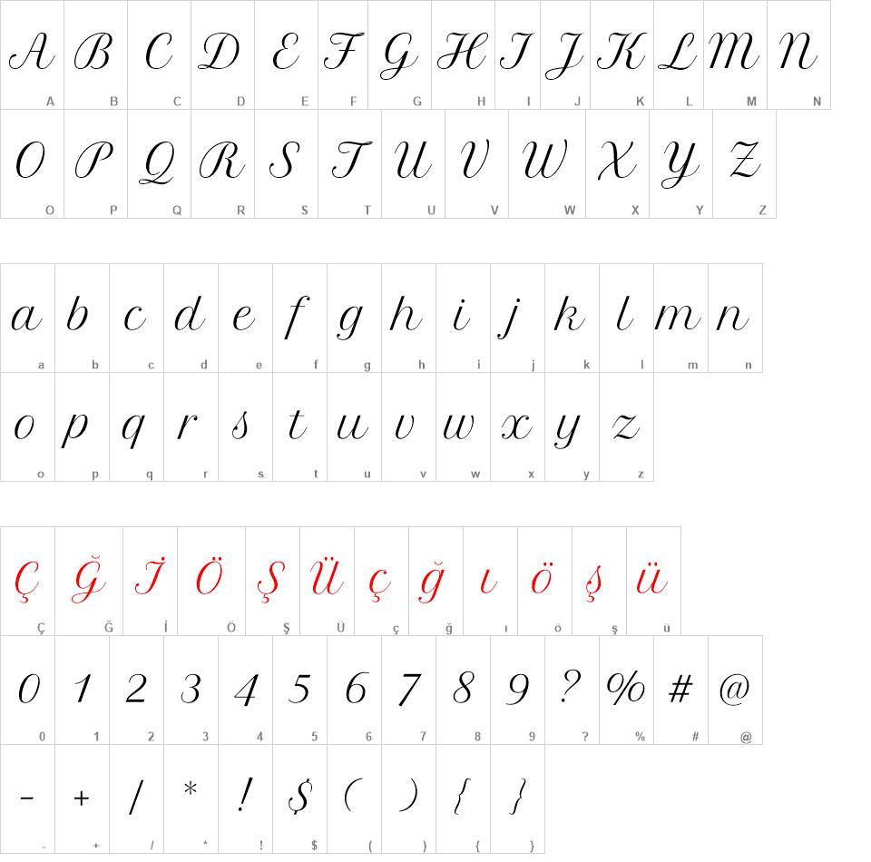 Petit Formal Script Font font