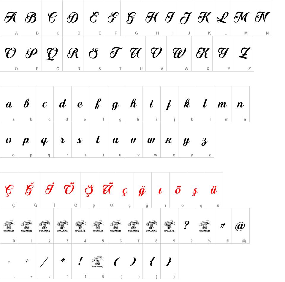 Quincho Script font