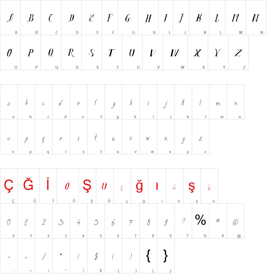 Salvat Study font