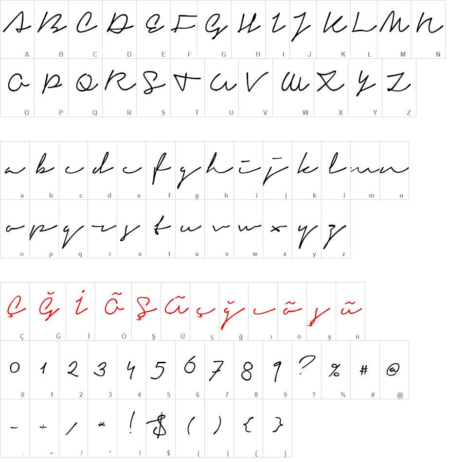 Signerica font