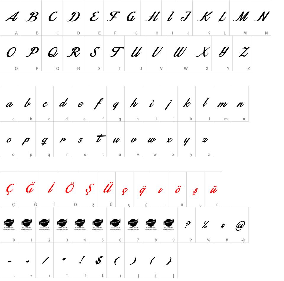 Stainy font