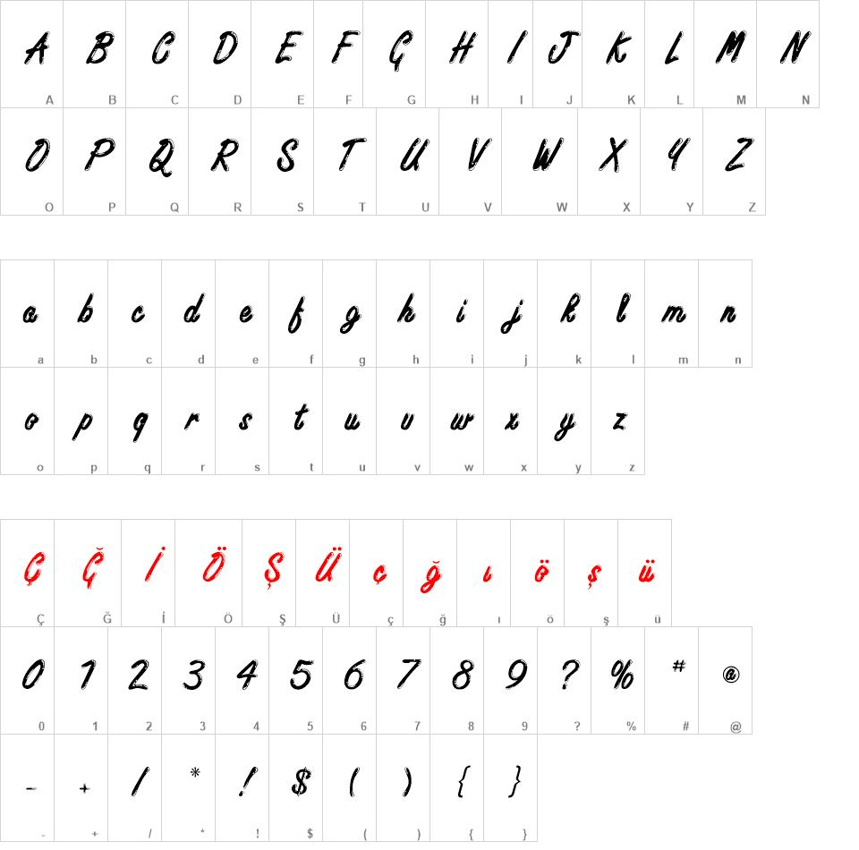 TR Freestyle Script Bold font