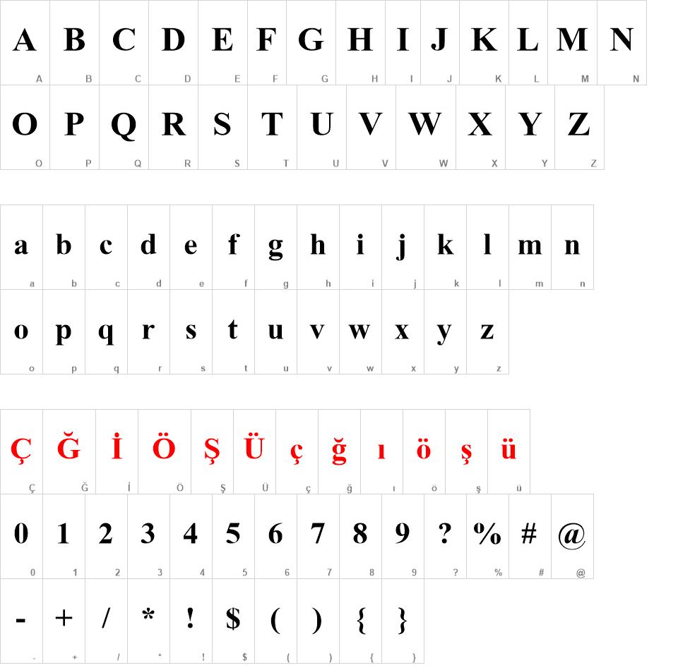 Turkish Times New Roman font