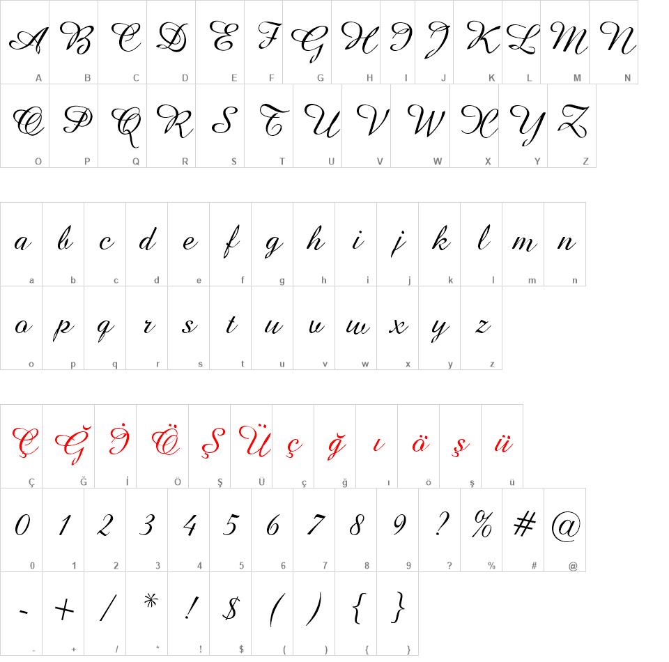 W95f0052 font