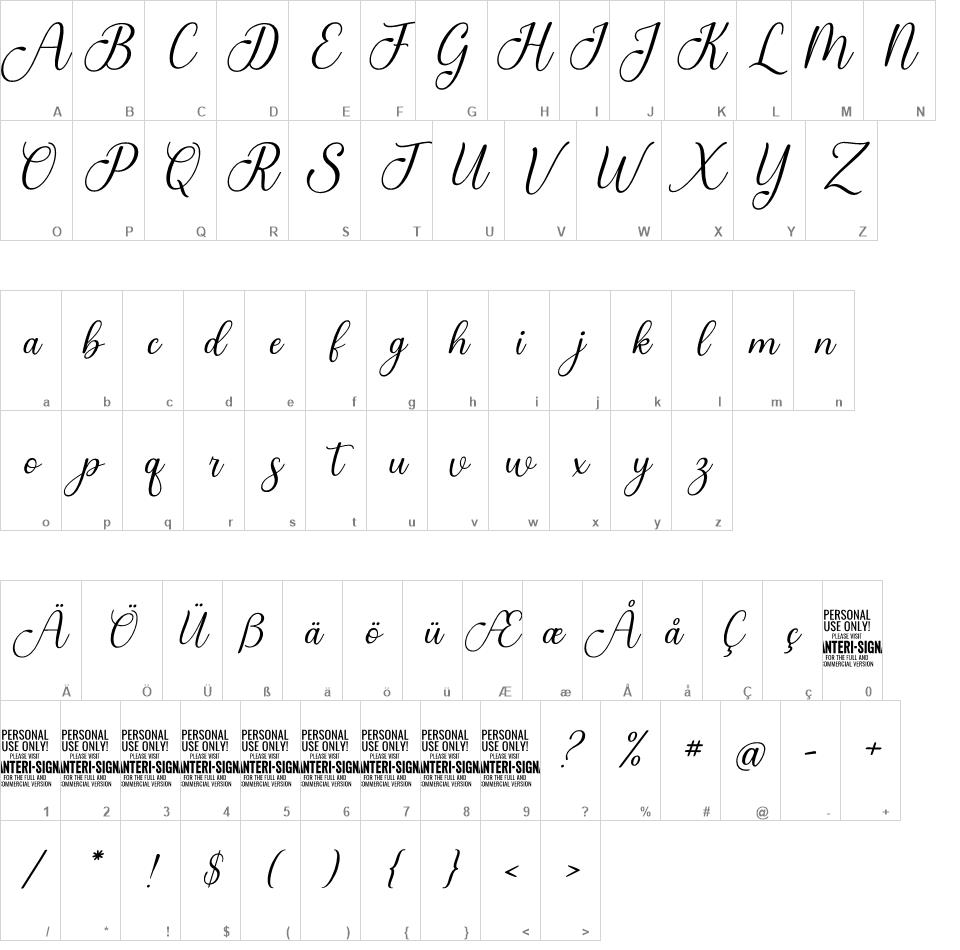 Anteri Signature font