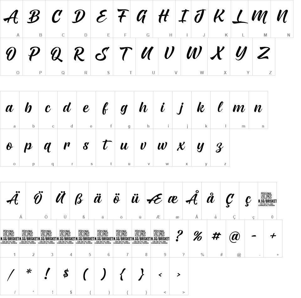 Brisket Script font