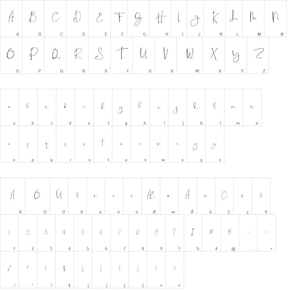 Holy Type font