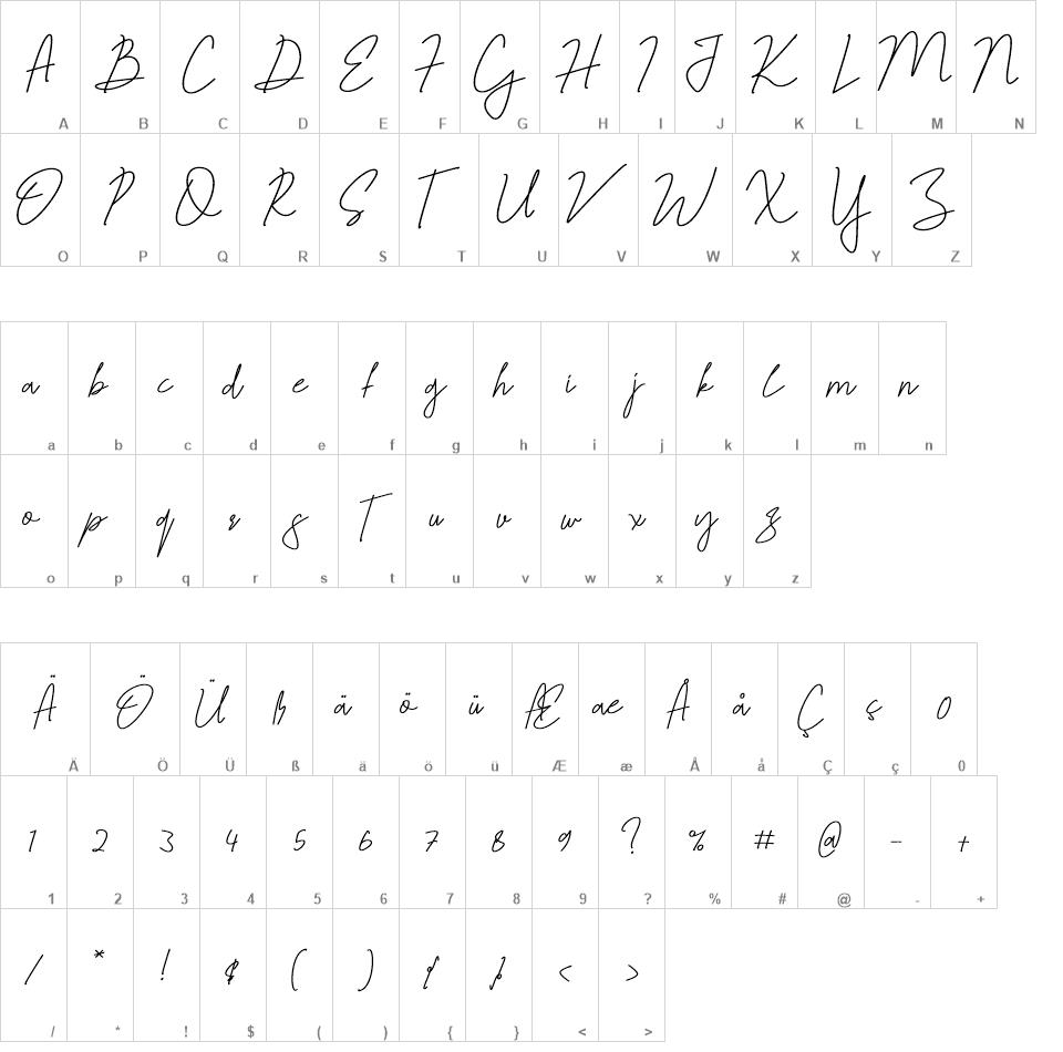 Jelitta Signature font