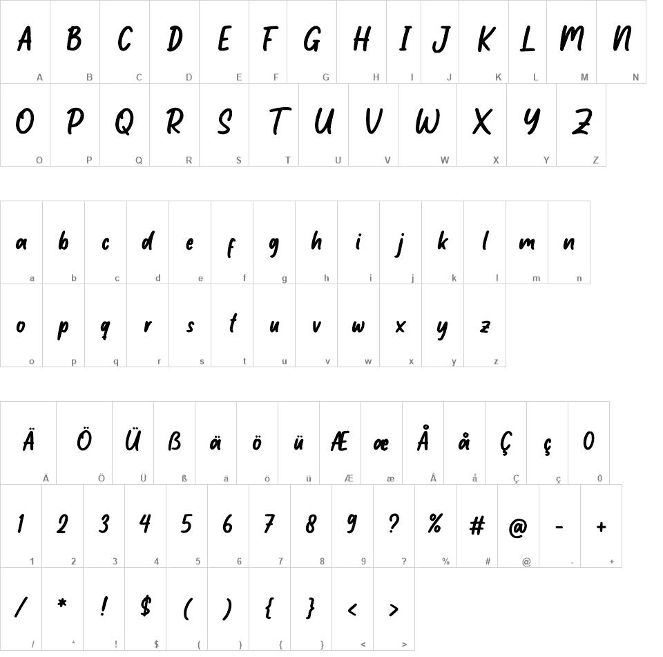 Little Student font