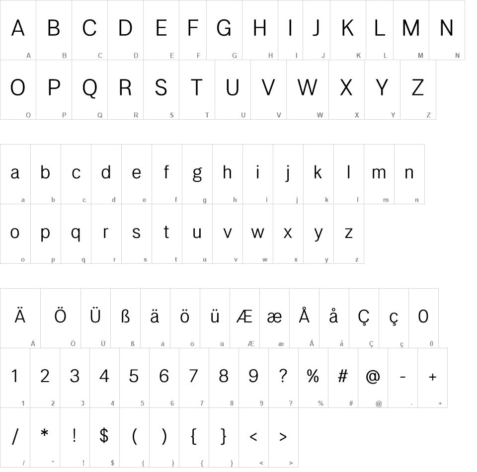 LT Amber font