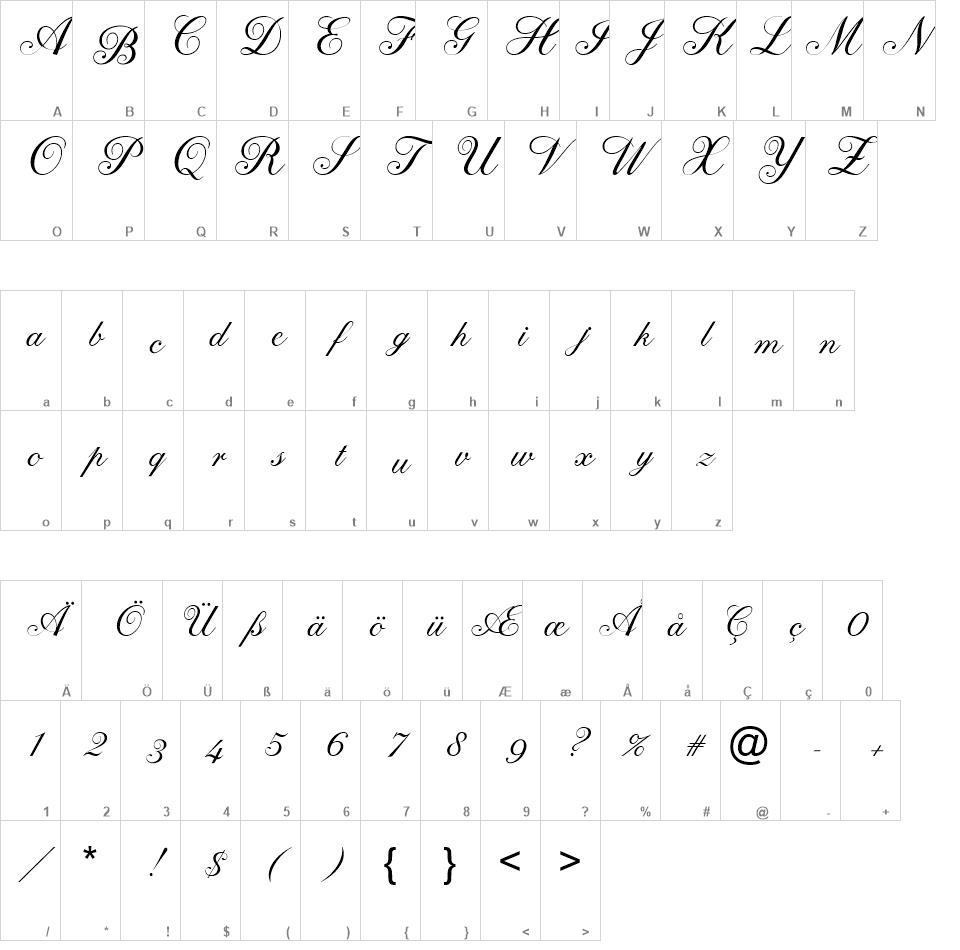 LT Perfume font