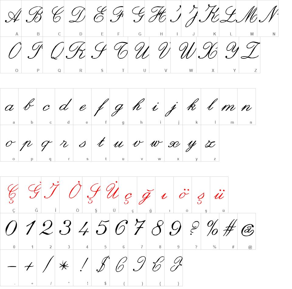 zai Italic Hand Calligraphy font