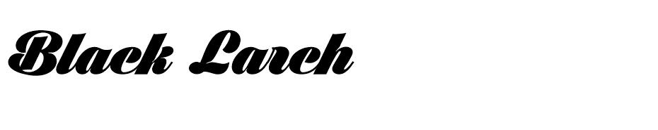 Black Larch font