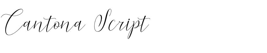 Cantona Script  font