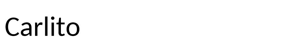 Carlito font