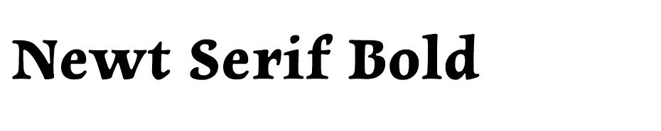 Newt Serif Bold font