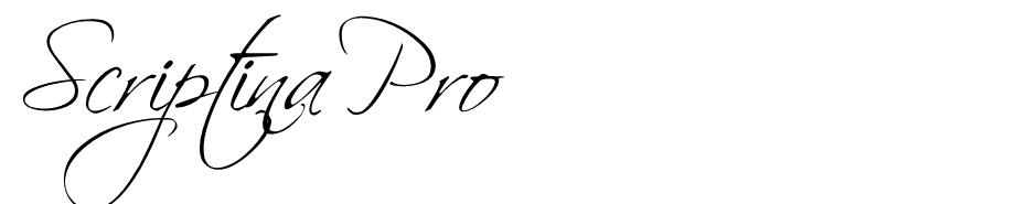 Scriptina Pro font