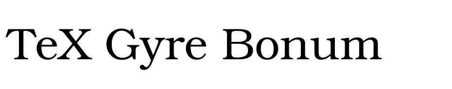 TeX Gyre Bonum Font Family font