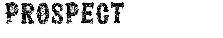 Prospect font