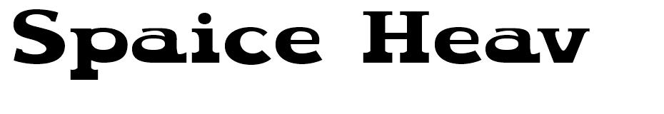 Spaice font