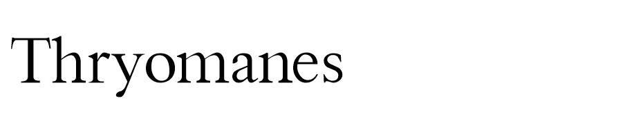 Thryomanes font