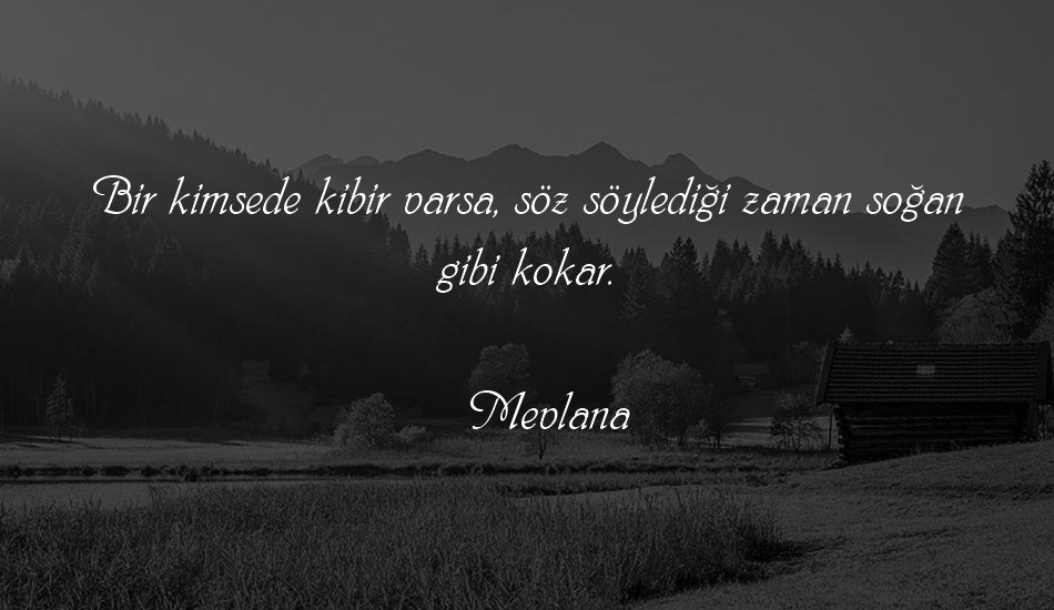 00531 font text