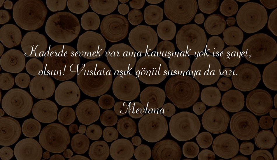 00543 font text