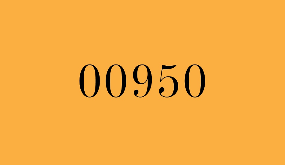 00950 font big