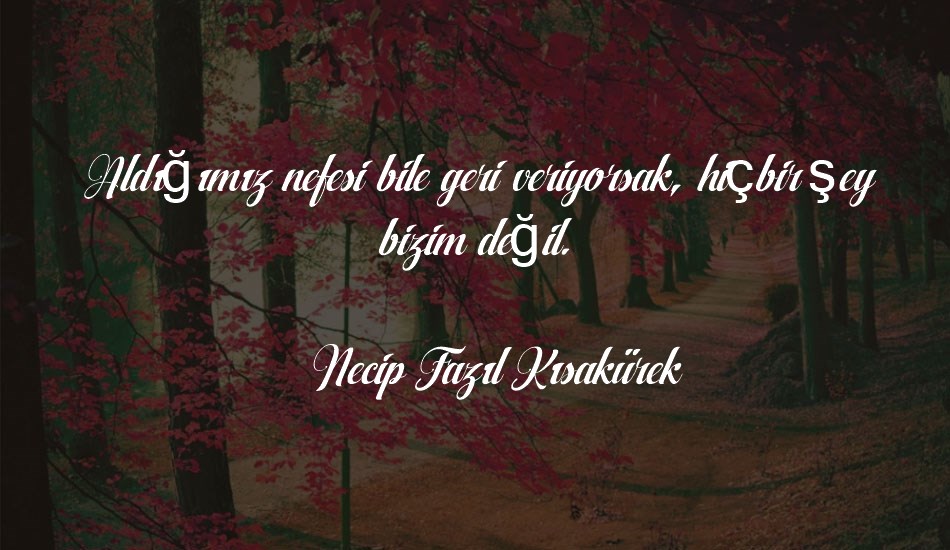 aqualitaıtalic font text