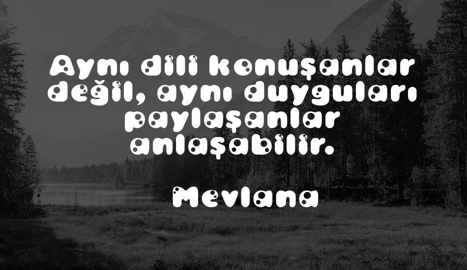 bambina font text