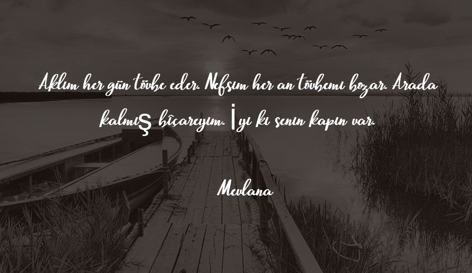 beautiful-script font text