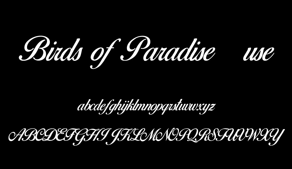 birds-of-paradise--personal-use font