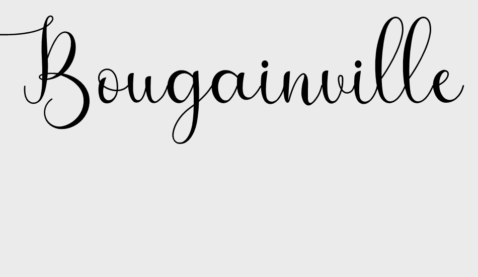 bougainvillea font big