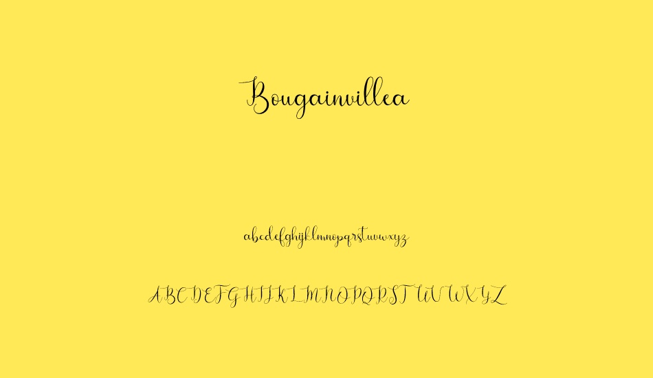 bougainvillea font