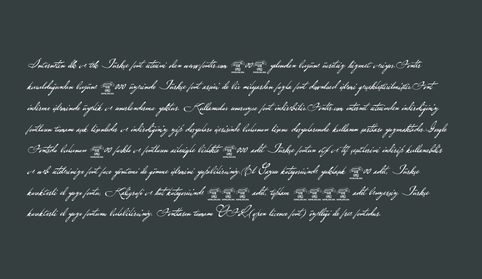 brev-script-personal-use font 1