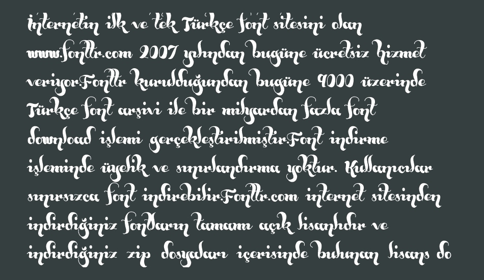 bumblebees-demo font 1
