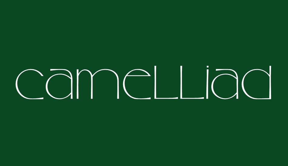 camelliad font big