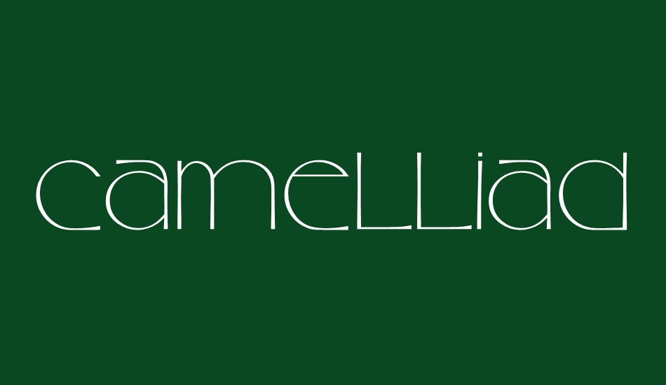 camelliad font big