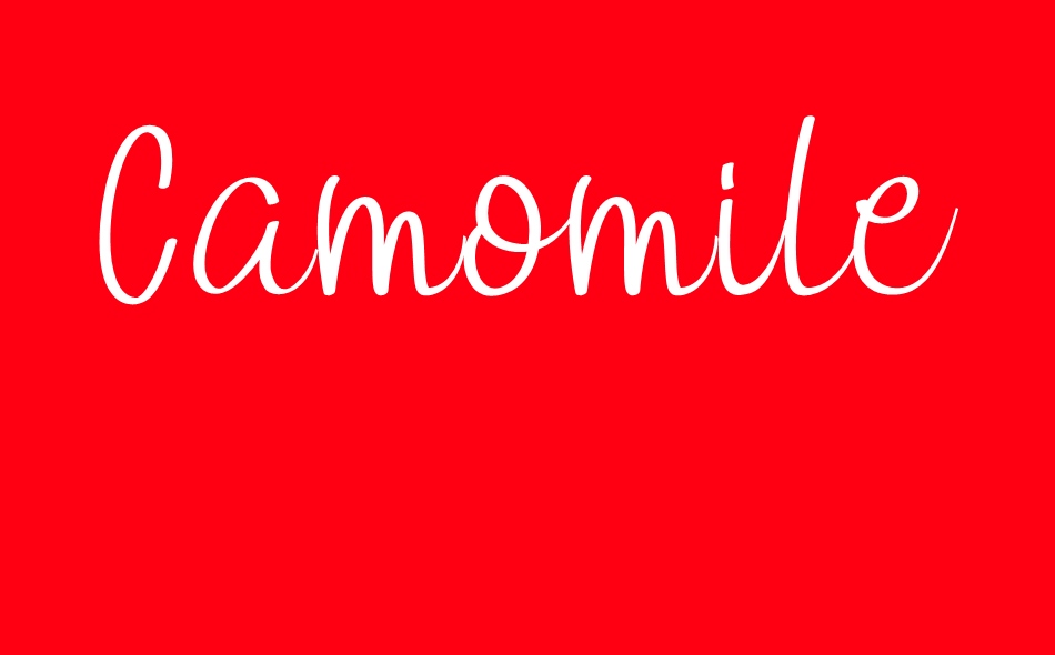 Camomile font big